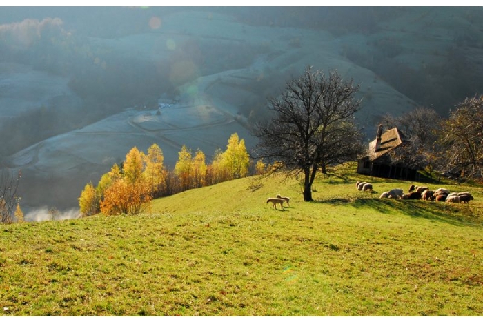 Tradiţiile lunilor August, Septembrie şi Octombrie