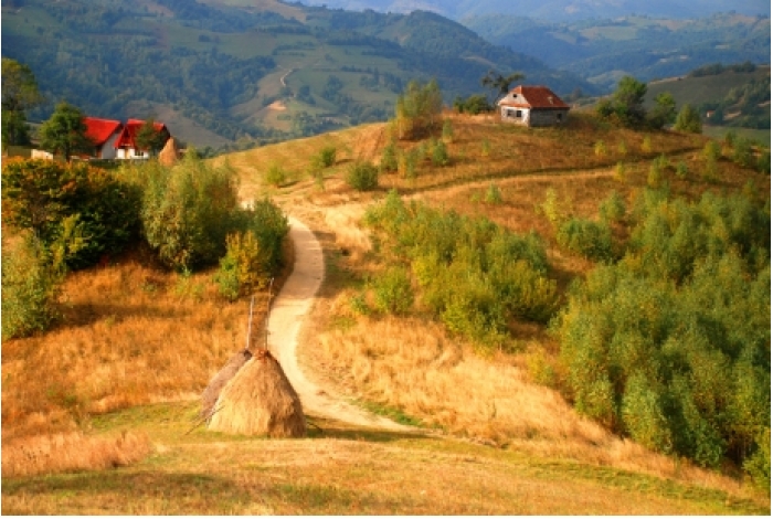 Strigătul peste sat