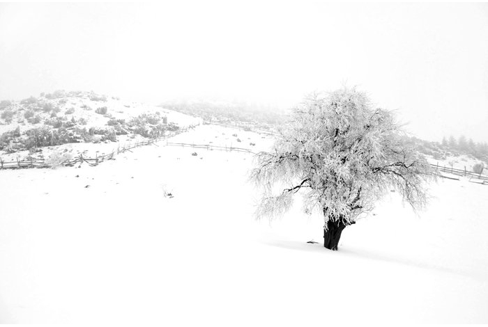 Tradiţiile lunii Decembrie