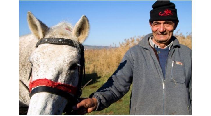 Homorod’s Animal Fairs Are Drawing  the Big Crowds,